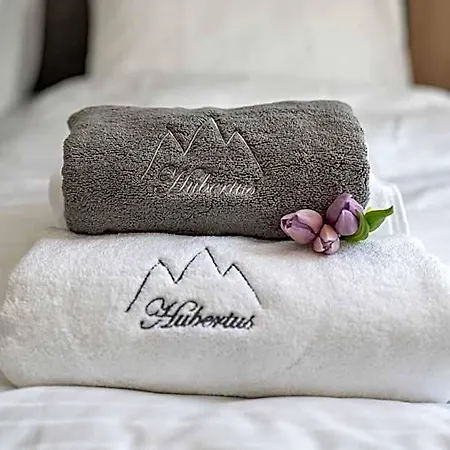 فندق Hubertus Karlova Studanka 4*
